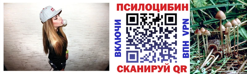 OMG ссылка  Алдан  Псилоцибиновые грибы Psilocybe 